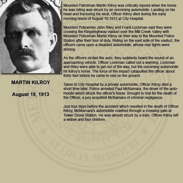 Martin Kilroy Bio