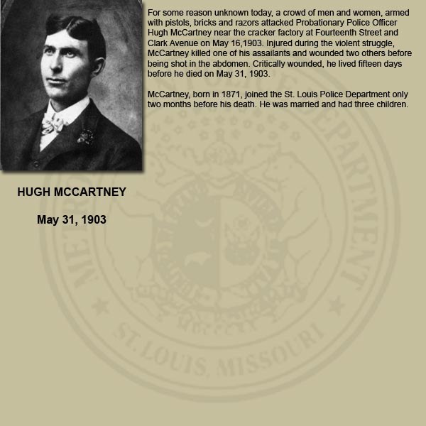 hugh Mccartney Bio