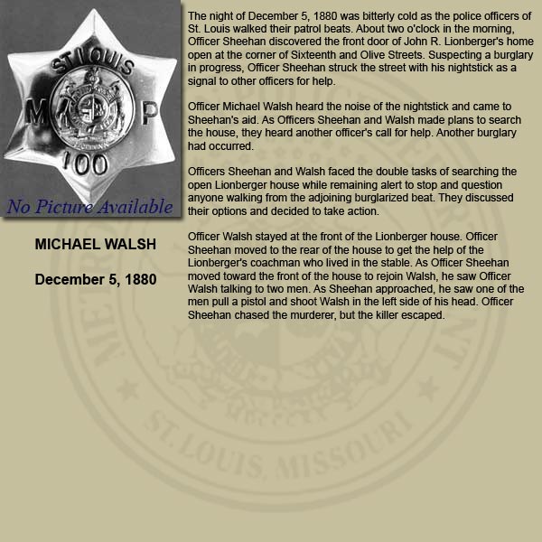 Michael Walsh Bio