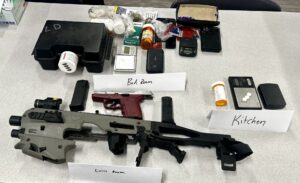 Two Guns, Suspected Narcotics Seized in Mount Pleasant Neighborhood