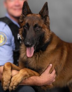 St. Louis Metropolitan Police Department’s K9 Novo to get Donation of Body Armor